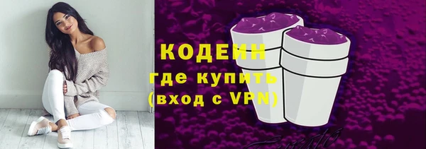мяу мяу кристалл Гусь-Хрустальный